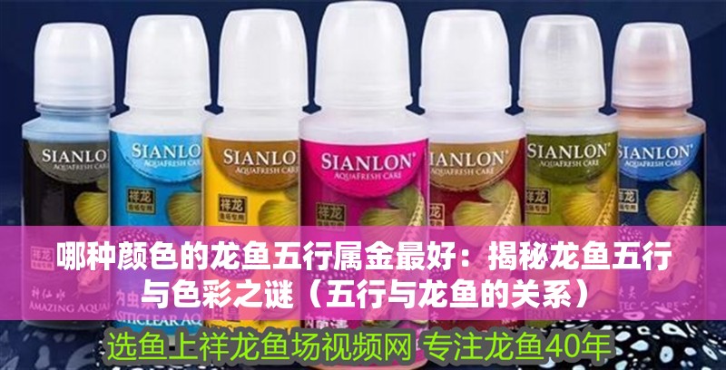 哪種顏色的龍魚五行屬金最好：揭秘龍魚五行與色彩之謎（五行與龍魚的關系）