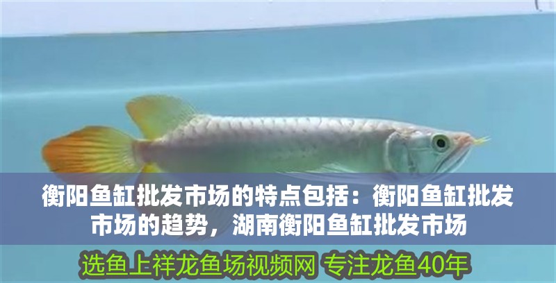 衡陽魚缸批發市場的特點包括：衡陽魚缸批發市場的趨勢，湖南衡陽魚缸批發市場