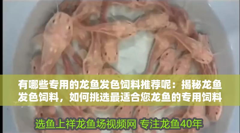 有哪些專用的龍魚發色飼料推薦呢：揭秘龍魚發色飼料，如何挑選最適合您龍魚的專用飼料 有哪些專用的龍魚發色飼料推薦呢：揭秘龍魚發色飼料，如何挑選最適合您龍魚的專用飼料 水族問答