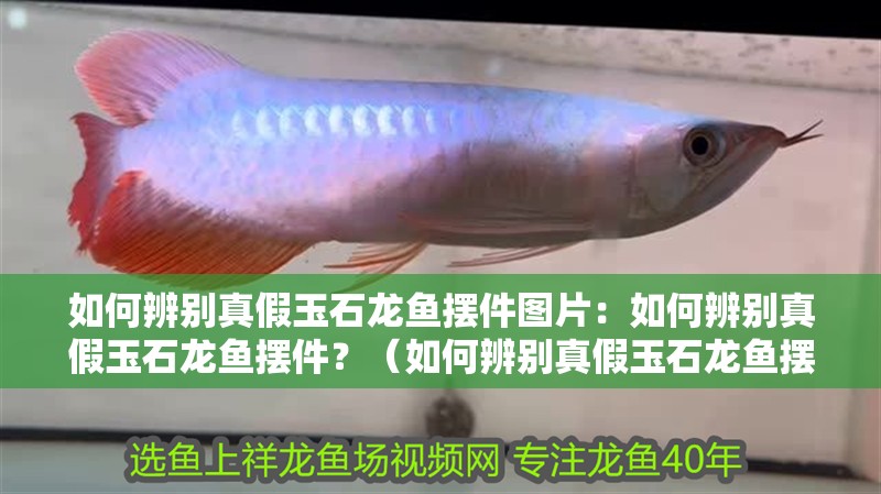 詳細(xì)閱讀:如何辨別真假玉石龍魚擺件圖片:如何辨別真假玉石龍魚擺件?(如何辨別真假玉石龍魚擺件) 如何辨別真假玉石龍魚擺件圖片:如何辨別真假玉石龍魚擺件?(如何辨別真假玉石龍魚擺件)