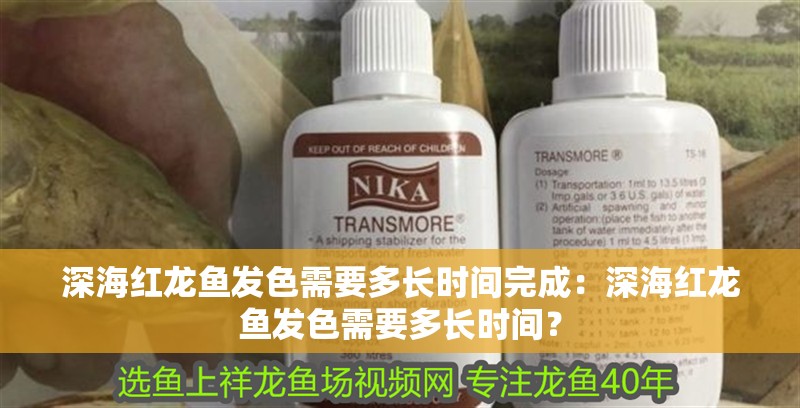 深海紅龍魚發色需要多長時間完成：深海紅龍魚發色需要多長時間？ 深海紅龍魚發色需要多長時間完成：深海紅龍魚發色需要多長時間？ 水族問答