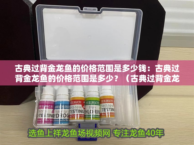 古典過背金龍魚的價格范圍是多少錢：古典過背金龍魚的價格范圍是多少？（古典過背金龍魚價格范圍）