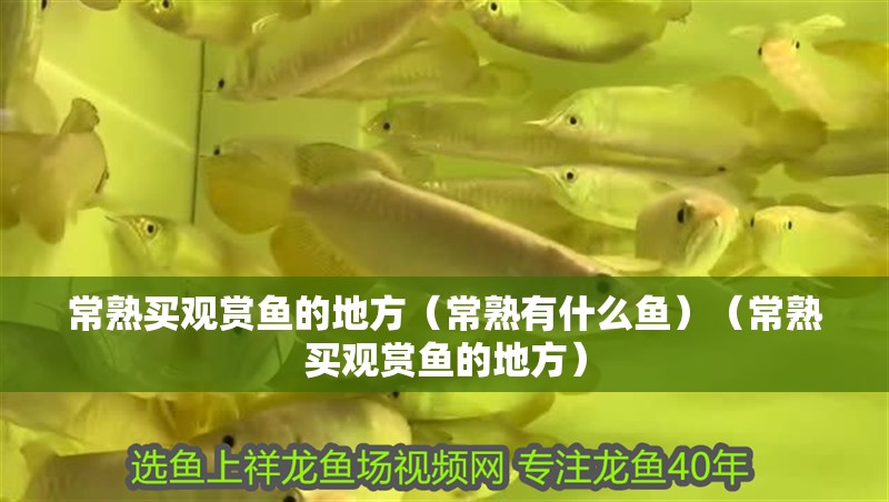 魚缸過濾器選購指南:自制魚缸過濾器魚缸上置過濾器對于養魚愛好者的必備知識 常熟買觀賞魚的地方(常熟有什么魚)(常熟買觀賞魚的地方) 觀賞魚百科 常熟買觀賞魚的地方(常熟有什么魚)(常熟買觀賞魚的地方) 常熟買觀賞魚的地方(常熟有什么魚)(常熟買觀賞魚的地方) 觀賞魚百科