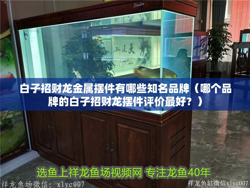 白子招財(cái)龍金屬擺件有哪些知名品牌（哪個(gè)品牌的白子招財(cái)龍擺件評(píng)價(jià)最好？）
