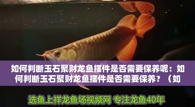 如何判斷玉石聚財(cái)龍魚擺件是否需要保養(yǎng)呢：如何判斷玉石聚財(cái)龍魚擺件是否需要保養(yǎng)？（如何判斷玉石聚財(cái)龍魚擺件是否需要保養(yǎng)）