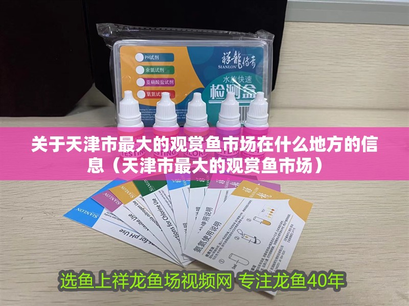 關于天津市最大的觀賞魚市場在什么地方的信息（天津市最大的觀賞魚市場）