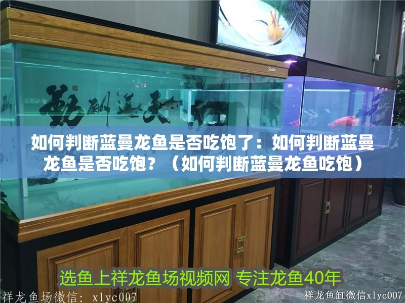 如何判斷藍曼龍魚是否吃飽了：如何判斷藍曼龍魚是否吃飽？（如何判斷藍曼龍魚吃飽）