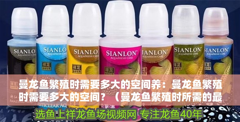 曼龍魚繁殖時(shí)需要多大的空間養(yǎng)：曼龍魚繁殖時(shí)需要多大的空間？（曼龍魚繁殖時(shí)所需的最小空間）