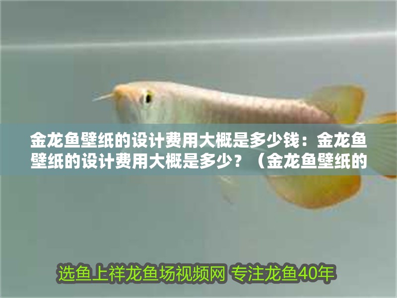 金龍魚壁紙的設計費用大概是多少錢：金龍魚壁紙的設計費用大概是多少？（金龍魚壁紙的設計費用大概是多少金龍魚壁紙的設計費用構成）