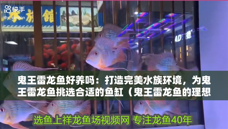 鬼王雷龍魚好養嗎：打造完美水族環境，為鬼王雷龍魚挑選合適的魚缸（鬼王雷龍魚的理想水溫控制水溫控制水溫控制水溫控制）