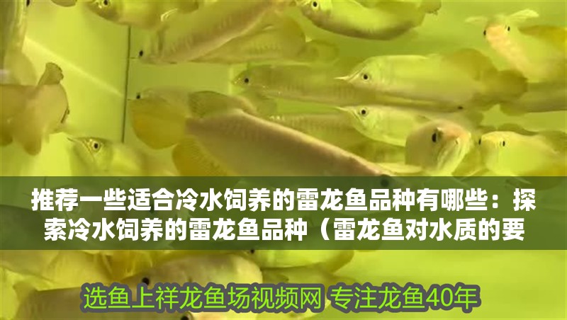 推薦一些適合冷水飼養的雷龍魚品種有哪些：探索冷水飼養的雷龍魚品種（雷龍魚對水質的要求）