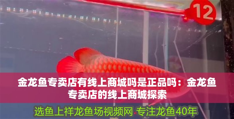 金龍魚專賣店有線上商城嗎是正品嗎：金龍魚專賣店的線上商城探索