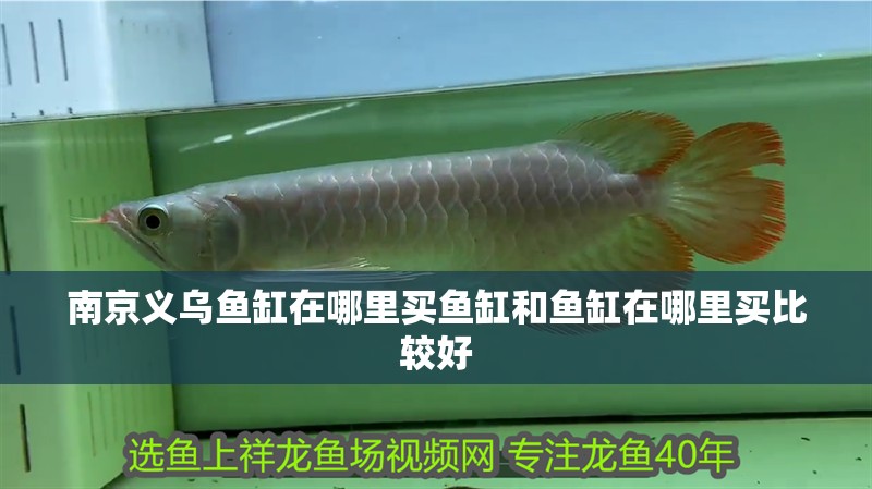 南京義烏魚缸在哪里買魚缸和魚缸在哪里買比較好