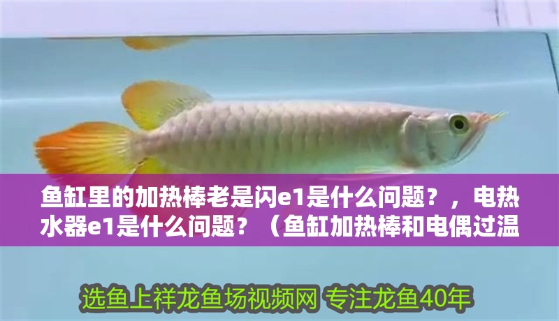 魚缸里的加熱棒老是閃e1是什么問題？，電熱水器e1是什么問題？（魚缸加熱棒和電偶過溫棒和電熱水器的故障代碼是不一樣的）