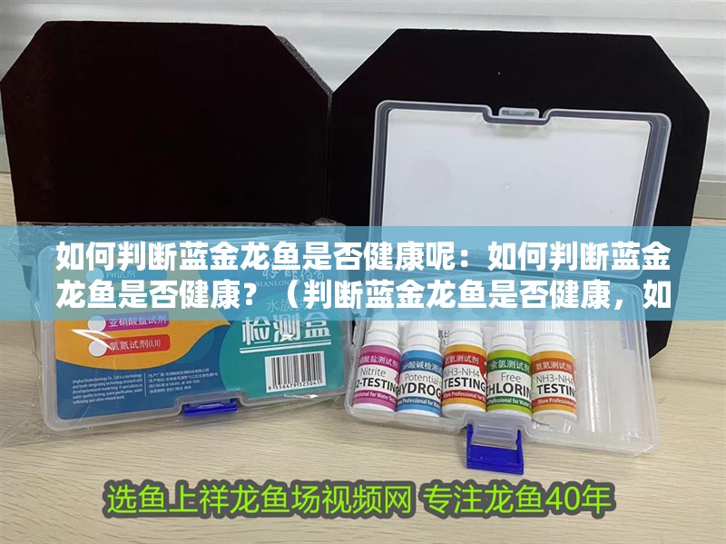 如何判斷藍金龍魚是否健康呢：如何判斷藍金龍魚是否健康？（判斷藍金龍魚是否健康，如何判斷藍金龍魚是否健康） 如何判斷藍金龍魚是否健康呢：如何判斷藍金龍魚是否健康？（判斷藍金龍魚是否健康，如何判斷藍金龍魚是否健康） 水族問答