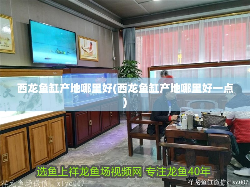 西龍魚缸產(chǎn)地哪里好(西龍魚缸產(chǎn)地哪里好一點(diǎn))