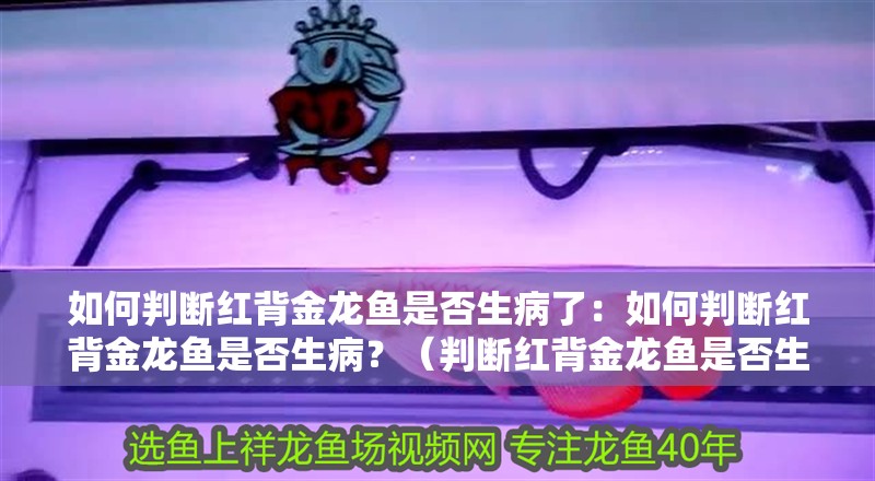 如何判斷紅背金龍魚是否生病了：如何判斷紅背金龍魚是否生病？（判斷紅背金龍魚是否生病了，掌握如何判斷紅背金龍魚是否生病）