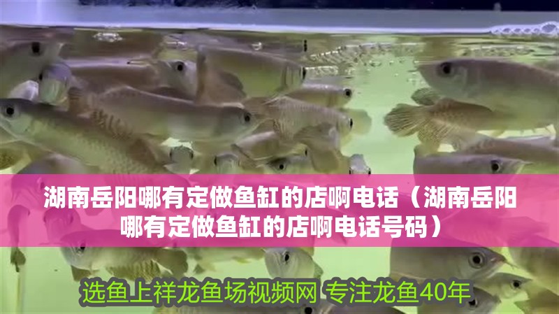 湖南岳陽哪有定做魚缸的店啊電話（湖南岳陽哪有定做魚缸的店啊電話號碼）