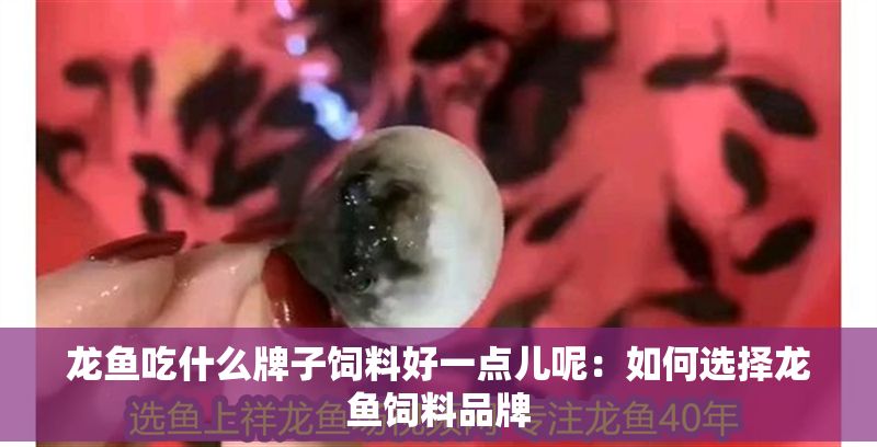 龍魚吃什么牌子飼料好一點兒呢：如何選擇龍魚飼料品牌 龍魚吃什么牌子飼料好一點兒呢：如何選擇龍魚飼料品牌 龍魚百科 第2張