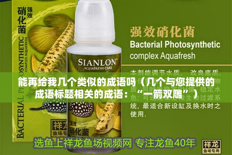 能再給我幾個類似的成語嗎（幾個與您提供的成語標題相關的成語：“一箭雙雕”）