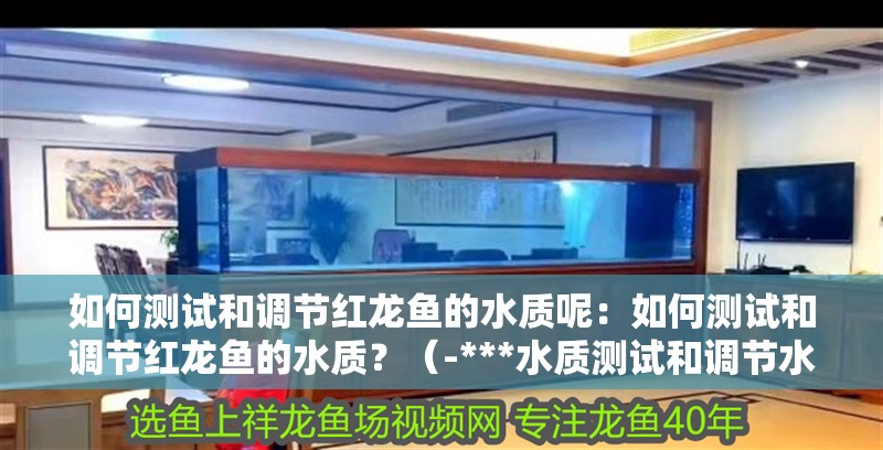 如何測試和調(diào)節(jié)紅龍魚的水質(zhì)呢：如何測試和調(diào)節(jié)紅龍魚的水質(zhì)？（-***水質(zhì)測試和調(diào)節(jié)水質(zhì)指標(biāo)是否適合紅龍魚）