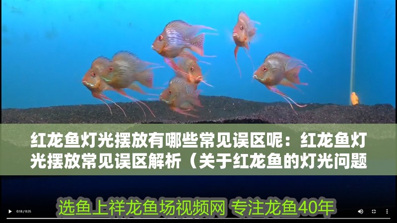 紅龍魚燈光擺放有哪些常見誤區呢：紅龍魚燈光擺放常見誤區解析（關于紅龍魚的燈光問題）