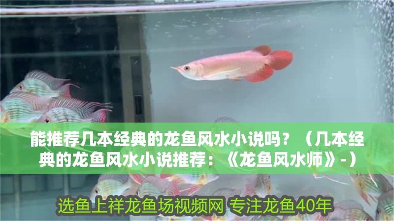 能推薦幾本經(jīng)典的龍魚(yú)風(fēng)水小說(shuō)嗎？（幾本經(jīng)典的龍魚(yú)風(fēng)水小說(shuō)推薦：《龍魚(yú)風(fēng)水師》-）