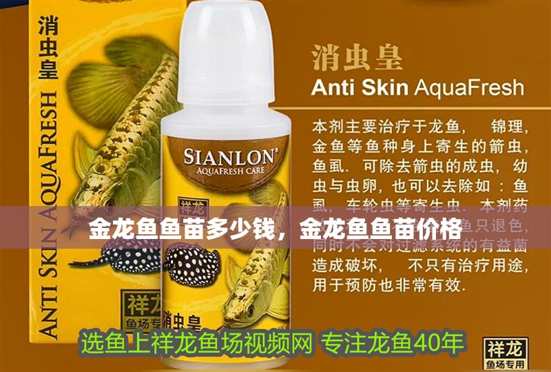 金龍魚(yú)魚(yú)苗多少錢(qián)，金龍魚(yú)魚(yú)苗價(jià)格