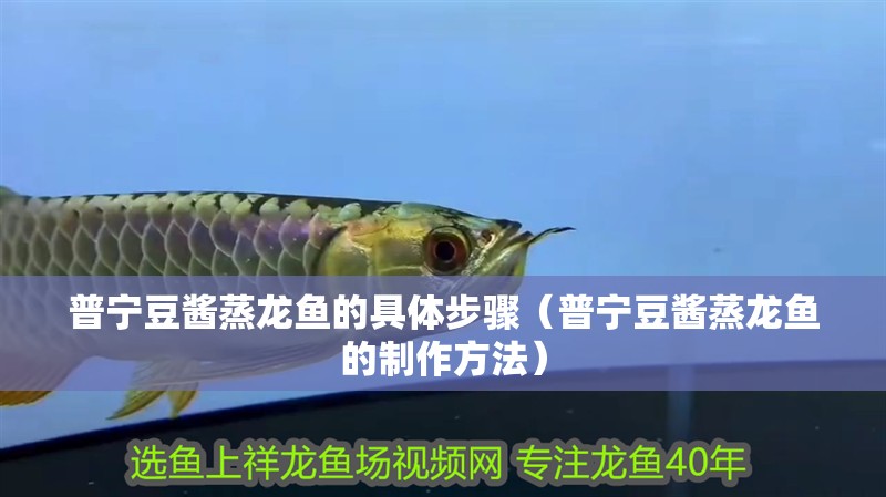 魚缸用增氧泵價(jià)格是多少:魚缸增氧機(jī)-xtrac增氧機(jī)-xtrac增氧機(jī) 普寧豆醬蒸龍魚的具體步驟(普寧豆醬蒸龍魚的制作方法) 龍魚百科 普寧豆醬蒸龍魚的具體步驟(普寧豆醬蒸龍魚的制作方法) 普寧豆醬蒸龍魚的具體步驟(普寧豆醬蒸龍魚的制作方法) 龍魚百科