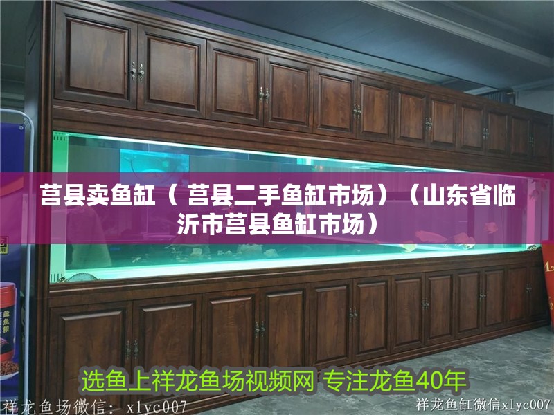 莒縣賣魚缸（ 莒縣二手魚缸市場）（山東省臨沂市莒縣魚缸市場） 莒縣賣魚缸（ 莒縣二手魚缸市場）（山東省臨沂市莒縣魚缸市場） 觀賞魚百科