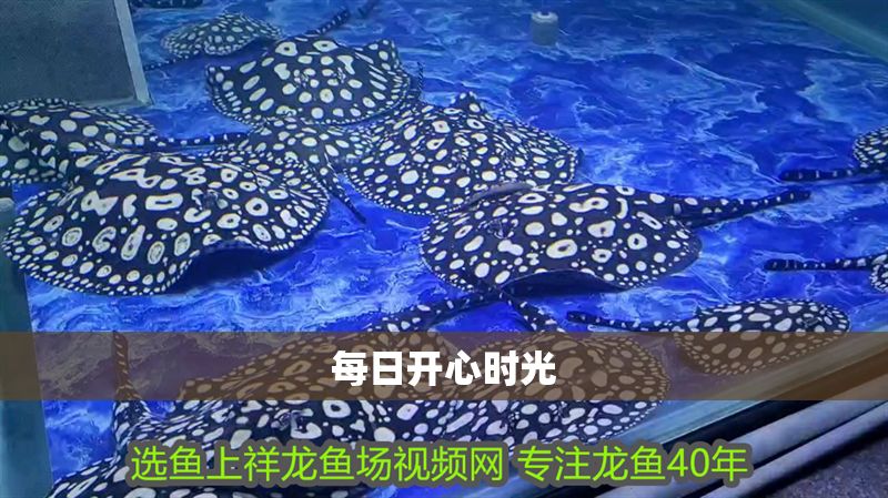 每日開(kāi)心時(shí)光