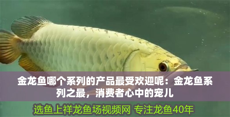 金龍魚哪個系列的產品最受歡迎呢：金龍魚系列之最，消費者心中的寵兒