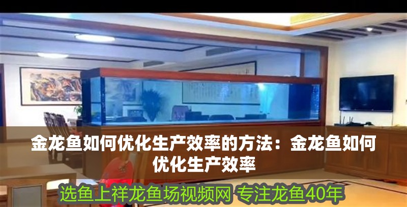 金龍魚如何優化生產效率的方法：金龍魚如何優化生產效率