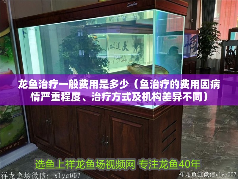 龍魚治療一般費用是多少（魚治療的費用因病情嚴重程度、治療方式及機構差異不同）