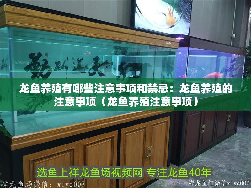 龍魚養殖有哪些注意事項和禁忌：龍魚養殖的注意事項（龍魚養殖注意事項）