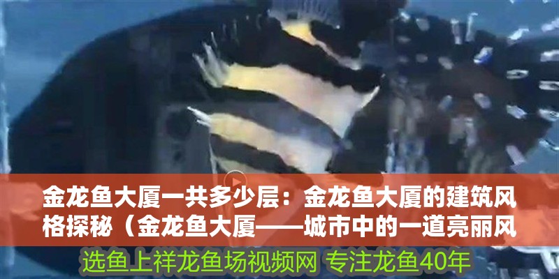 金龍魚大廈一共多少層：金龍魚大廈的建筑風格探秘（金龍魚大廈——城市中的一道亮麗風景線）