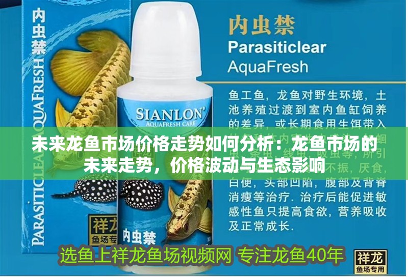 未來龍魚市場價格走勢如何分析：龍魚市場的未來走勢，價格波動與生態影響