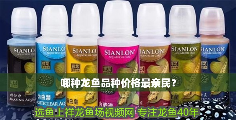哪種龍魚品種價格最親民？ 哪種龍魚品種價格最親民？ 龍魚百科