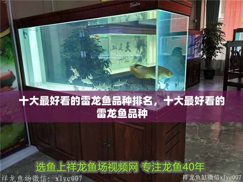 十大最好看的雷龍魚品種排名，十大最好看的雷龍魚品種