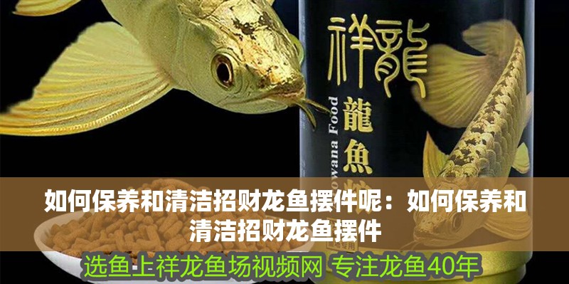 如何保養和清潔招財龍魚擺件呢：如何保養和清潔招財龍魚擺件