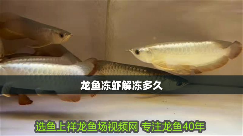 龍魚凍蝦解凍多久 龍魚凍蝦解凍多久 龍魚百科 第1張