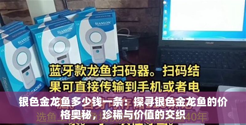 銀色金龍魚多少錢一條：探尋銀色金龍魚的價格奧秘，珍稀與價值的交織