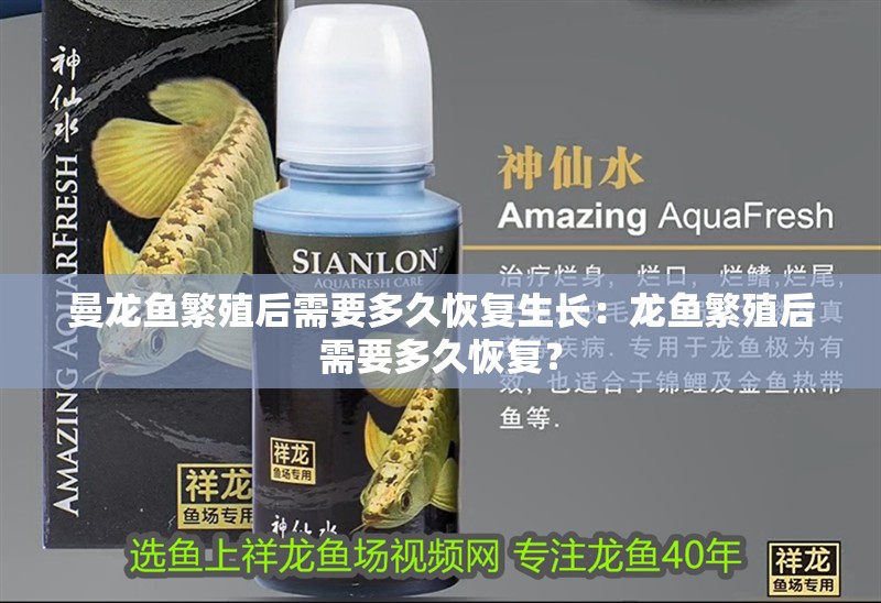曼龍魚繁殖后需要多久恢復生長：龍魚繁殖后需要多久恢復？