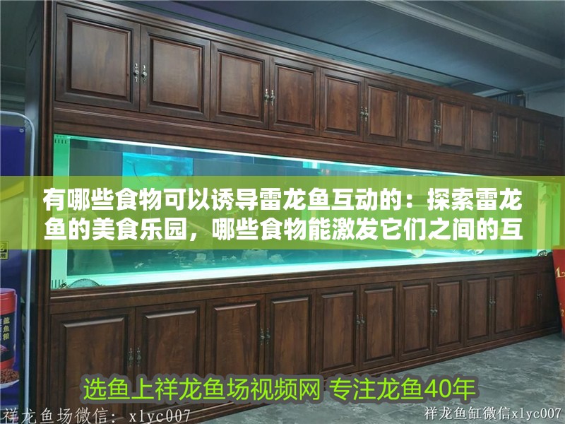 有哪些食物可以誘導(dǎo)雷龍魚(yú)互動(dòng)的：探索雷龍魚(yú)的美食樂(lè)園，哪些食物能激發(fā)它們之間的互動(dòng)？