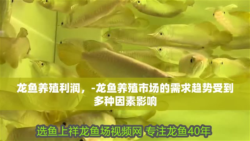 龍魚養殖利潤，-龍魚養殖市場的需求趨勢受到多種因素影響 龍魚養殖利潤，-龍魚養殖市場的需求趨勢受到多種因素影響 觀賞魚百科