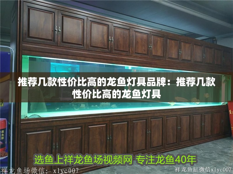 推薦幾款性價比高的龍魚燈具品牌：推薦幾款性價比高的龍魚燈具