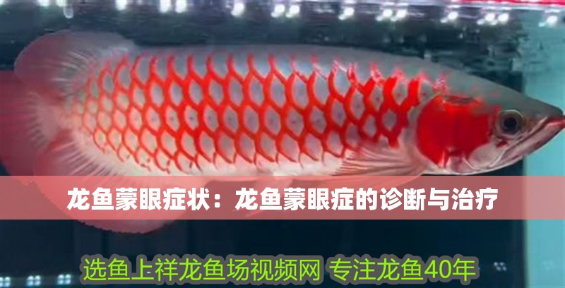 龍魚蒙眼癥狀：龍魚蒙眼癥的診斷與治療