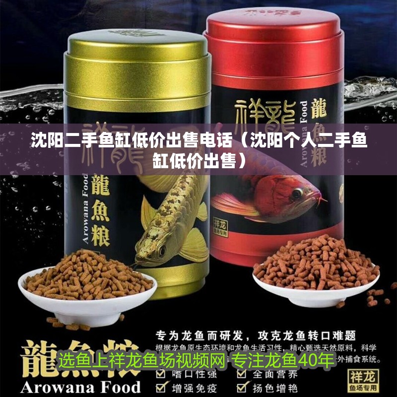 沈陽二手魚缸低價出售電話（沈陽個人二手魚缸低價出售）