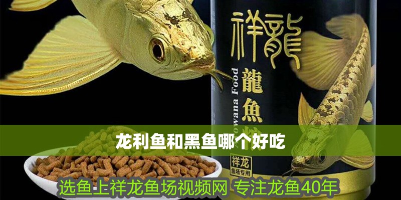 龍利魚和黑魚哪個好吃