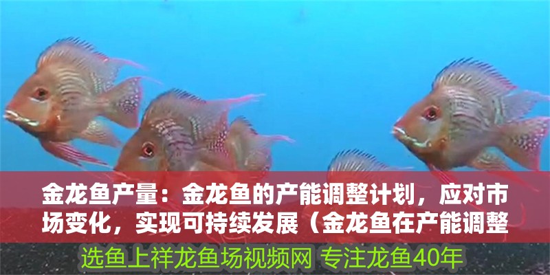 金龍魚產量：金龍魚的產能調整計劃，應對市場變化，實現可持續發展（金龍魚在產能調整方面取得了顯著的成效）